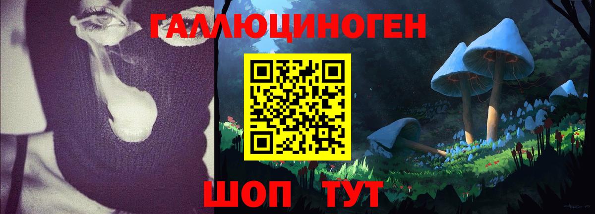 Псилоцибиновые грибы Psilocybe  Вход с VPN  Похвистнево  Галлюциногенные грибы MAGIC MUSHROOMS 