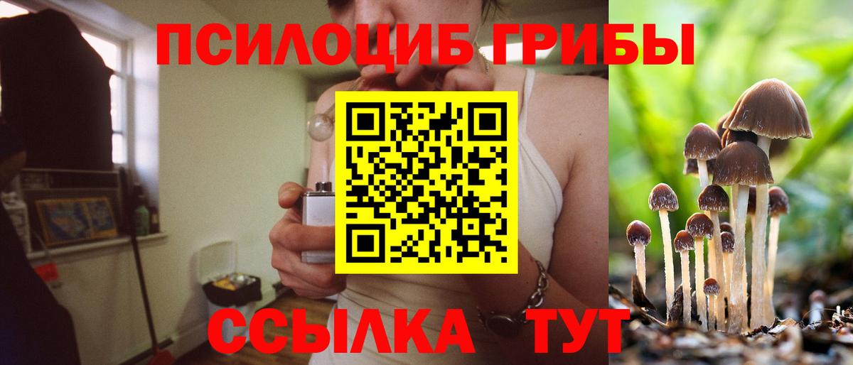 Псилоцибиновые грибы Psilocybe Похвистнево